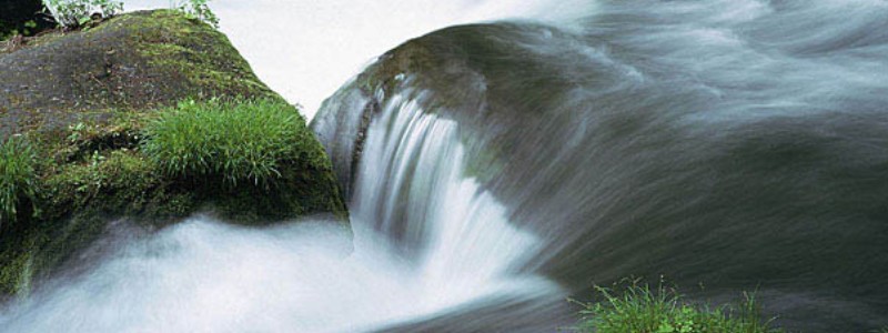 アーク ス【南阿蘇天然水いのちへの水】
情報サイト